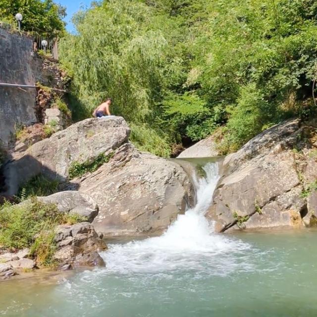 1751513787244018364.jpg 1751513212198.jpg